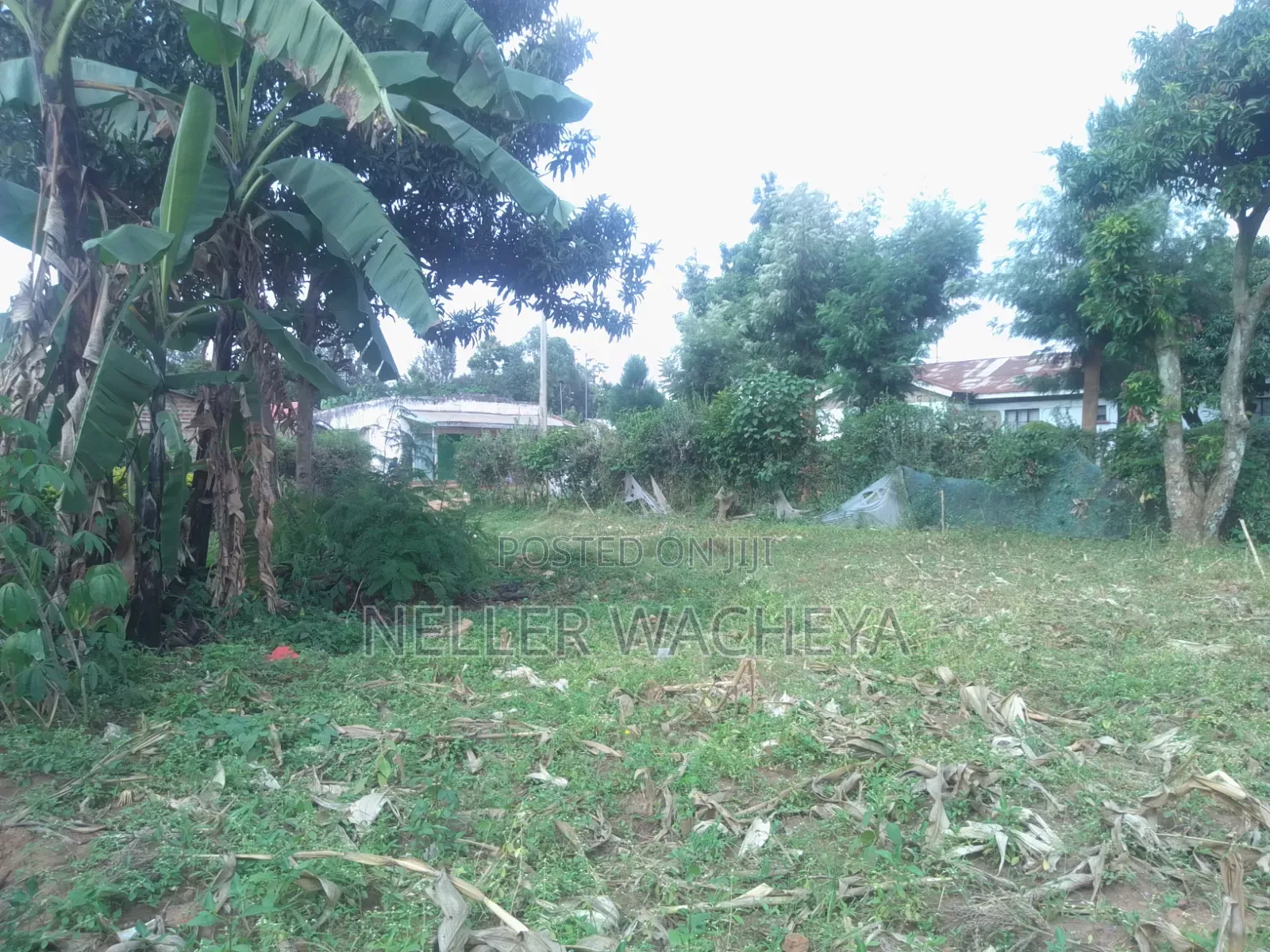 Two Plots for Sale in Bungoma Town