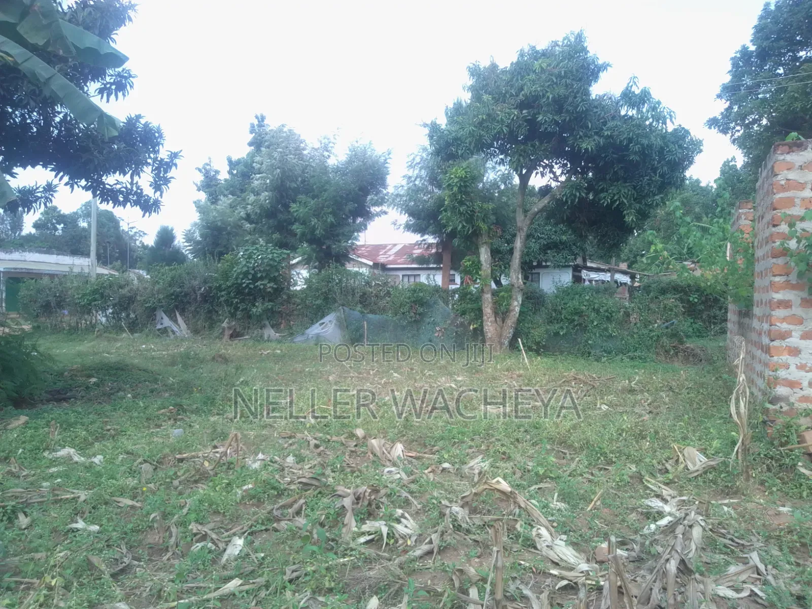 Two Plots for Sale in Bungoma Town