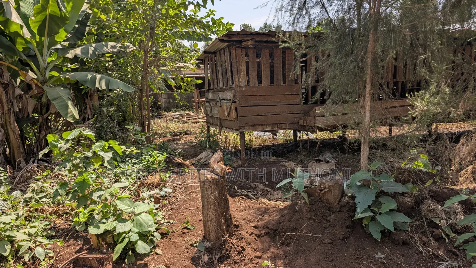 1/2 Acre With a House for Sale in Gatuto, Kirinyaga County.