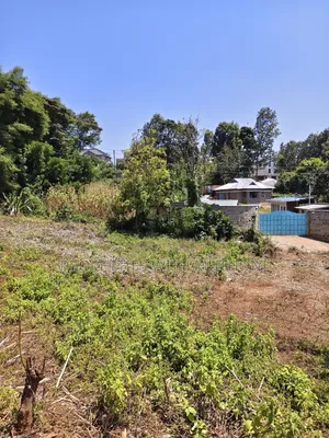 100×100 Plots for Sale in Matasia, Ngong.