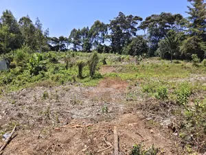 100×100 Plots for Sale in Matasia, Ngong.