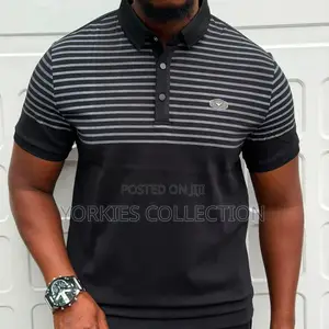 A Striped Polo Shirt