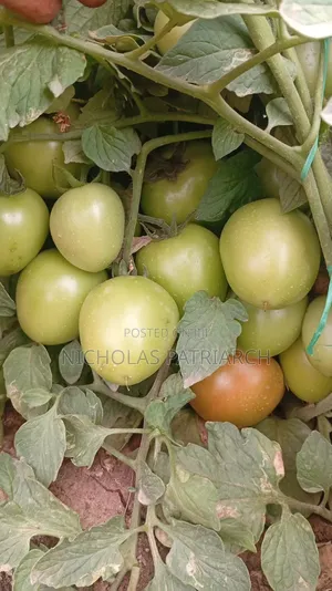 45 Acres Farm Kiboko -Mombasa Road Selling at 92m
