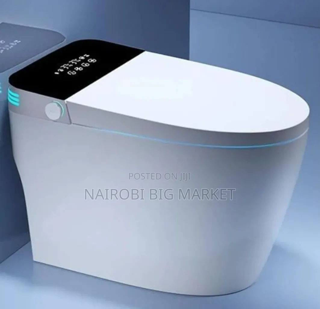 Bolesi Smart Toilet