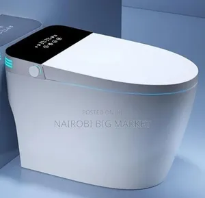 Bolesi Smart Toilet