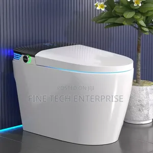 Bolesi Smart Toilet