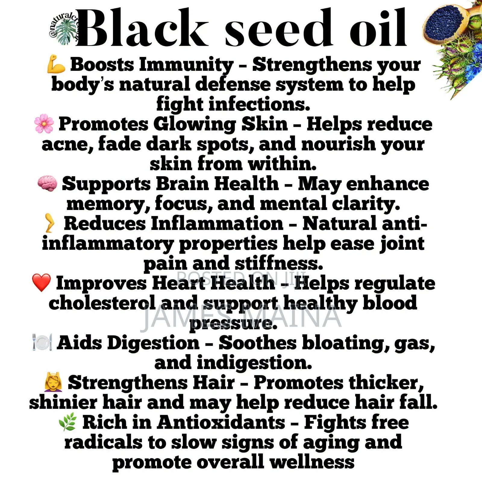 THYMOQ Black Seed Oil