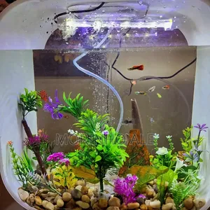 Guppies Aquarium Fish