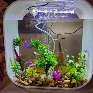 Guppies Aquarium Fish
