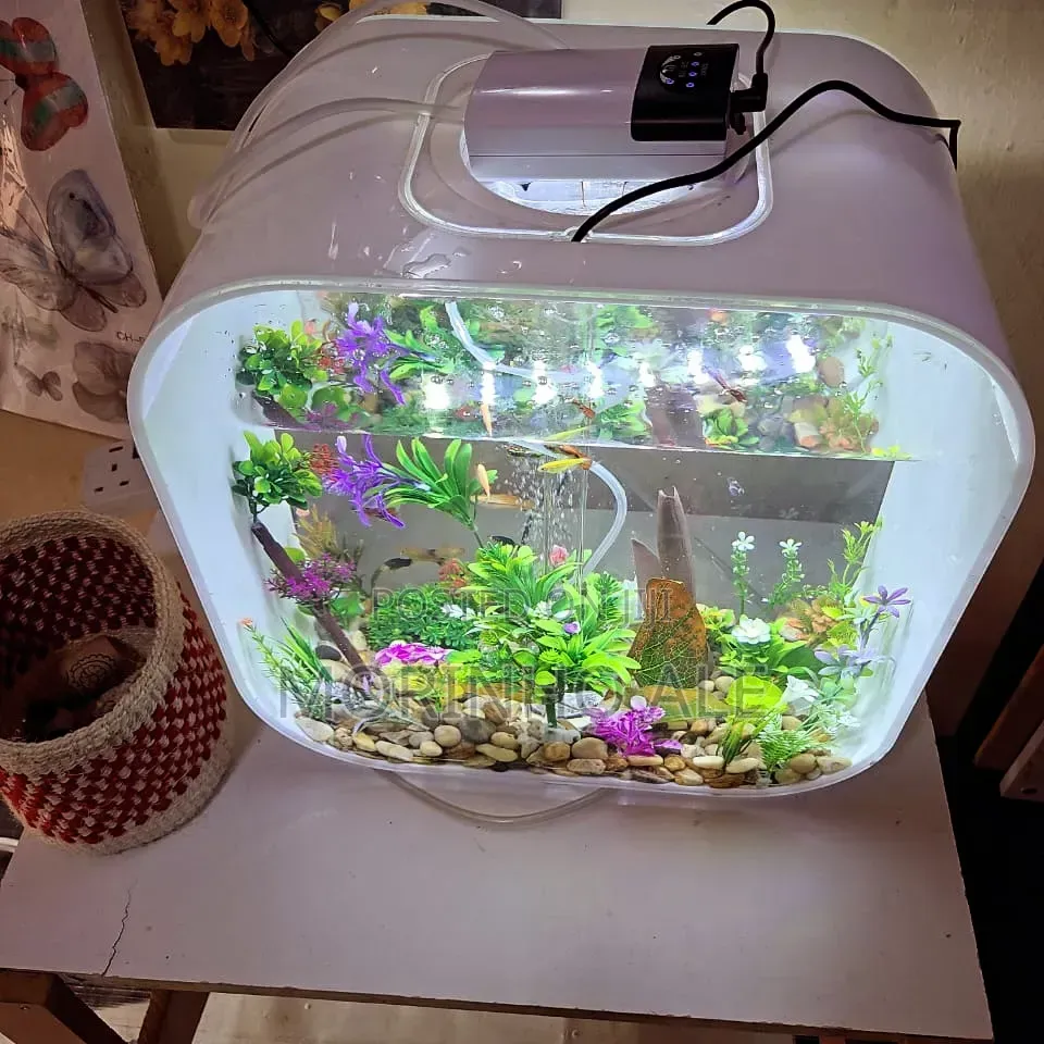 Guppies Aquarium Fish
