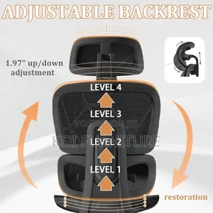 Office Chair; Orthopedic High Back SSDX Chairs