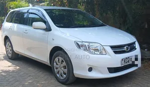 Toyota Corolla Fielder 2010 White