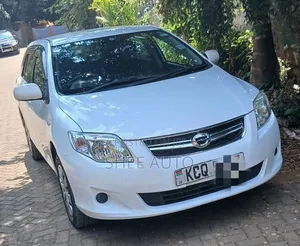 Toyota Corolla Fielder 2010 White