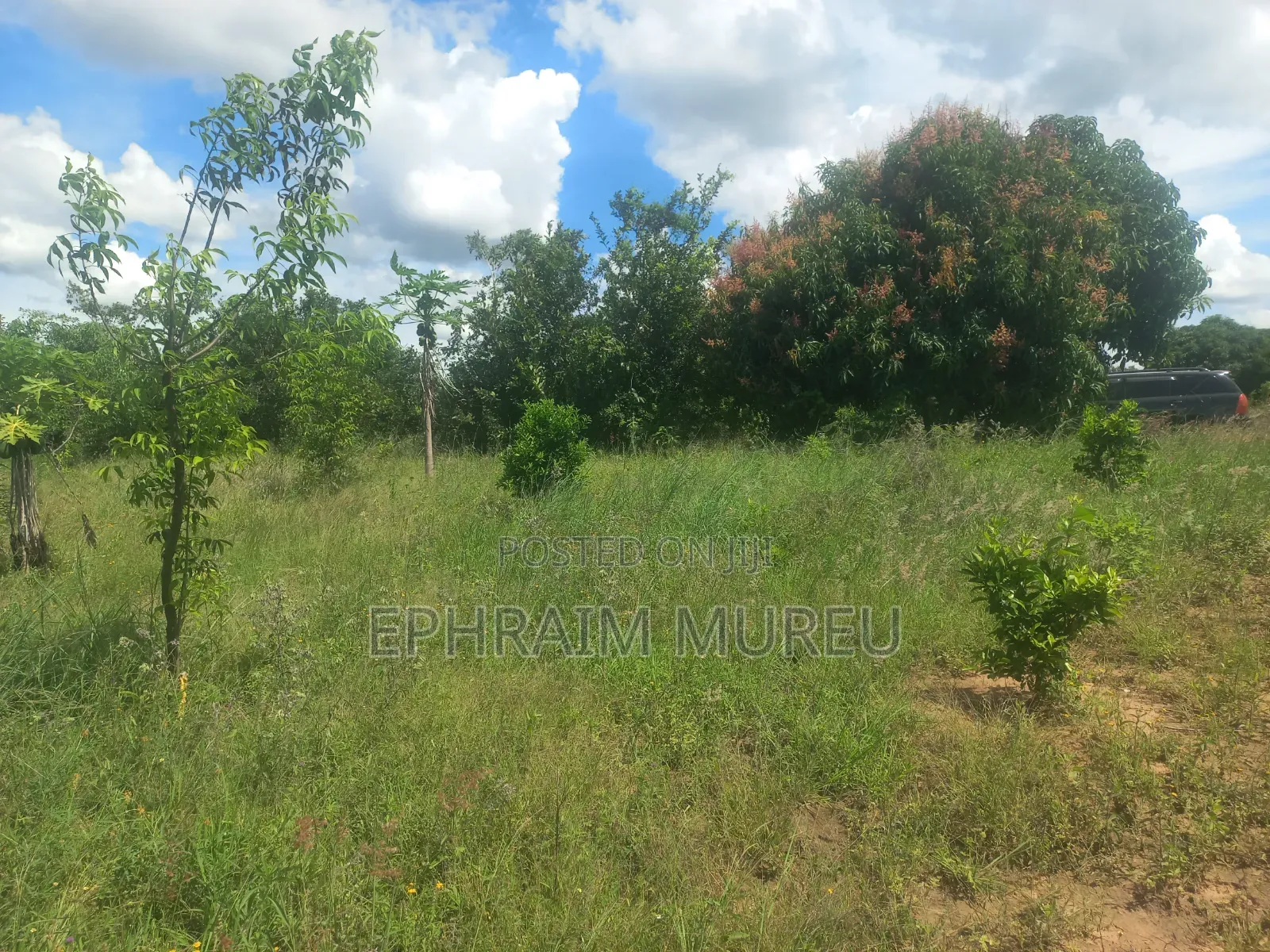 1 Acre Mananja - Makuyu