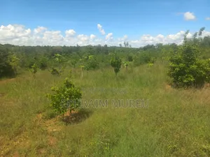 1 Acre Mananja - Makuyu