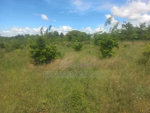1 Acre Mananja - Makuyu