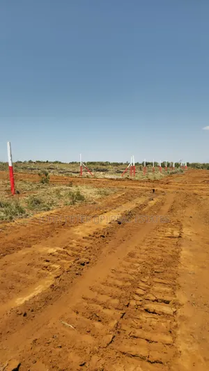 100*100 Plots in Nachu