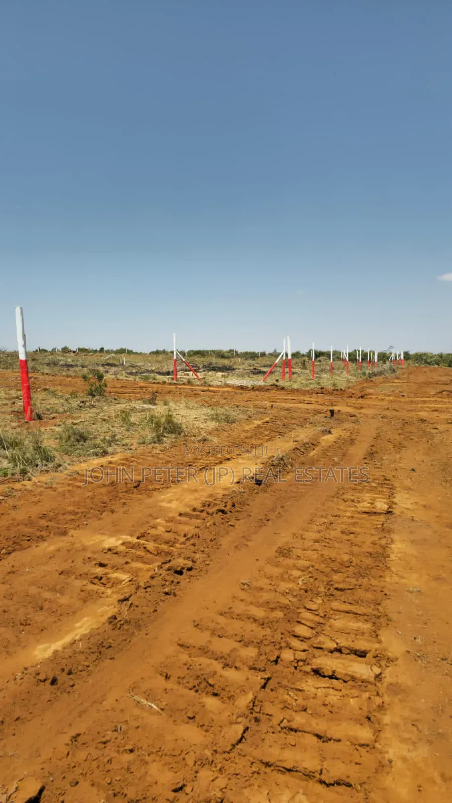 100*100 Plots in Nachu