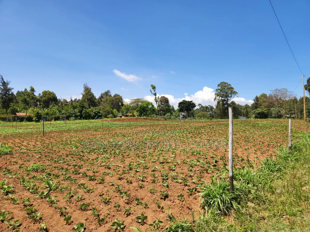 Residential Plots in Chungamali, Mirithu