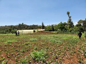 Residential Plots in Chungamali, Mirithu