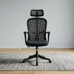 Modern Ergonomic Mesh Home Chair