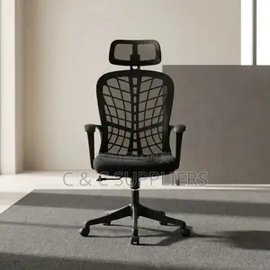 Modern Ergonomic Mesh Home Chair