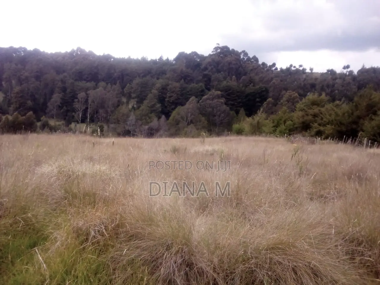 10 Acres on Quick Sale in Oljororok