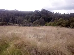10 Acres on Quick Sale in Oljororok