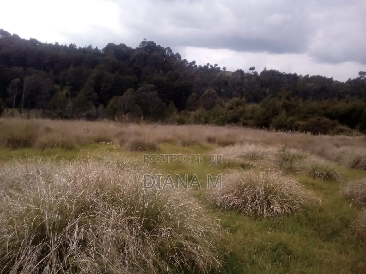 10 Acres on Quick Sale in Oljororok