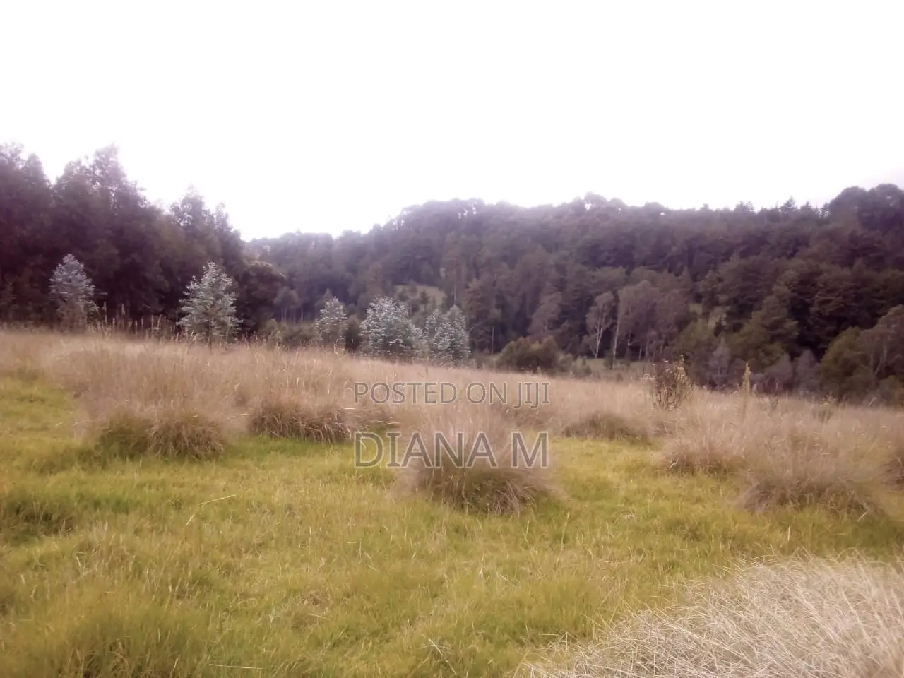 10 Acres on Quick Sale in Oljororok