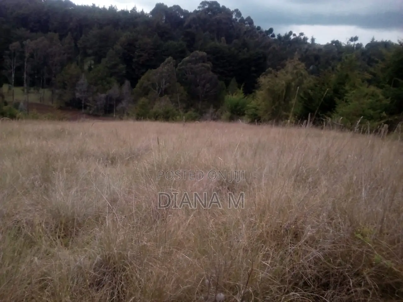 10 Acres on Quick Sale in Oljororok