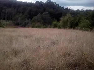 10 Acres on Quick Sale in Oljororok