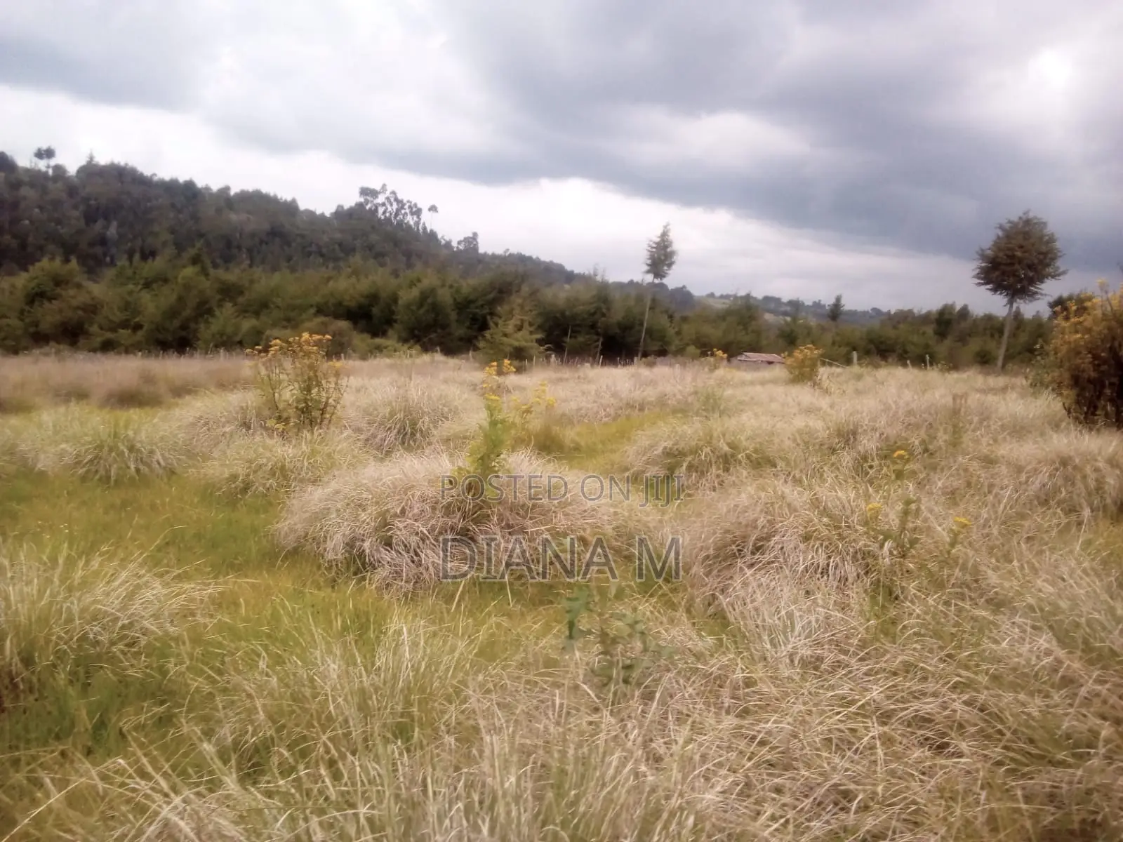 10 Acres on Quick Sale in Oljororok
