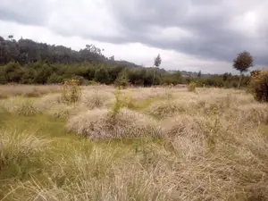 10 Acres on Quick Sale in Oljororok