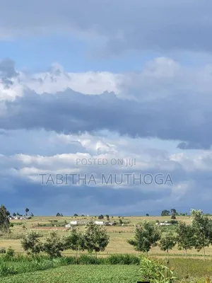 1/8 of an Acre in Solio Village 4
