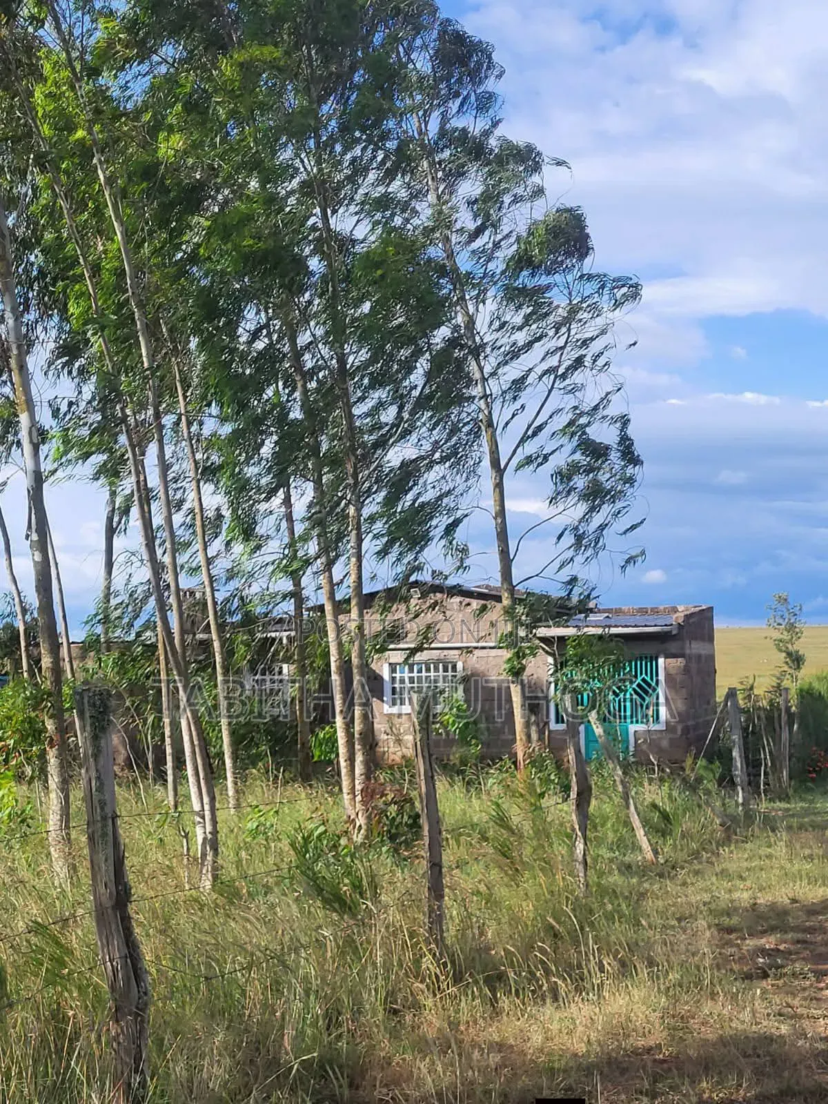 1/8 of an Acre in Solio Village 4