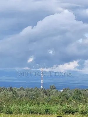 1/8 of an Acre in Solio Village 4