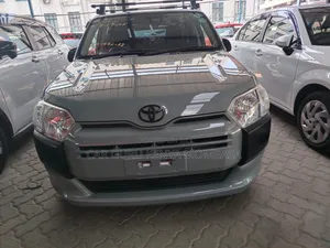 Toyota Probox 2019 Gray