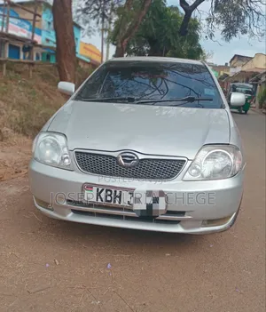 Toyota Corolla RunX 2003 Silver