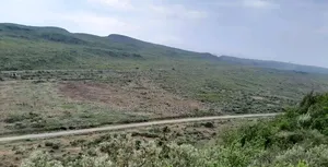 5 Acres in Nachu,Nduini