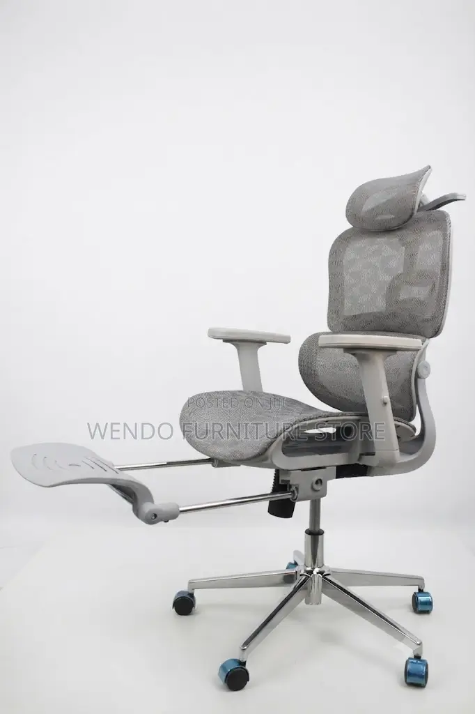 Office Chairs; Orthopedic Reclining Footrest Office Chairs