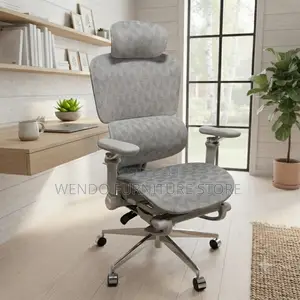 Office Chairs; Orthopedic Reclining Footrest Office Chairs
