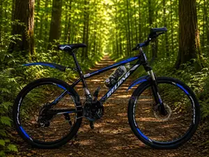 Size 26" Bike Disc Brakes 21 Speed Gear