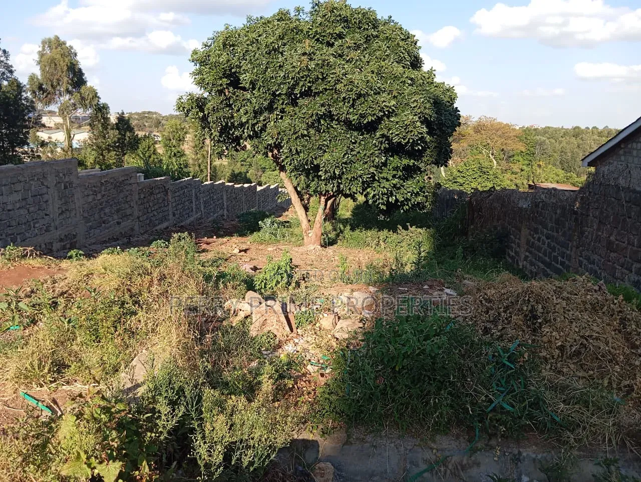 Slightly Bigger Than 1⁄4 Acre Piece of Land in Kikuyu, Kidfarmaco.