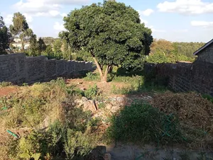 Slightly Bigger Than 1⁄4 Acre Piece of Land in Kikuyu, Kidfarmaco.