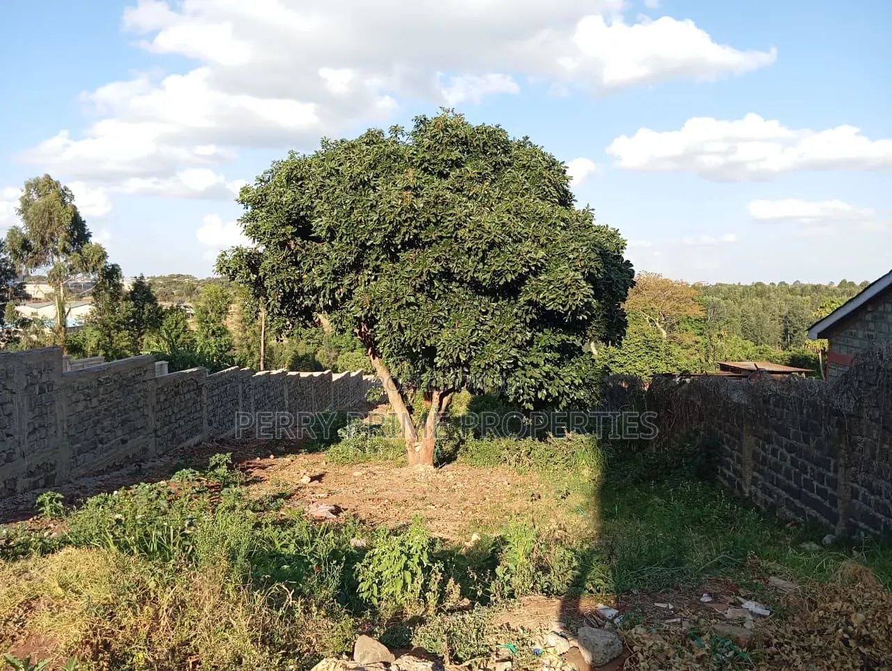 Slightly Bigger Than 1⁄4 Acre Piece of Land in Kikuyu, Kidfarmaco.
