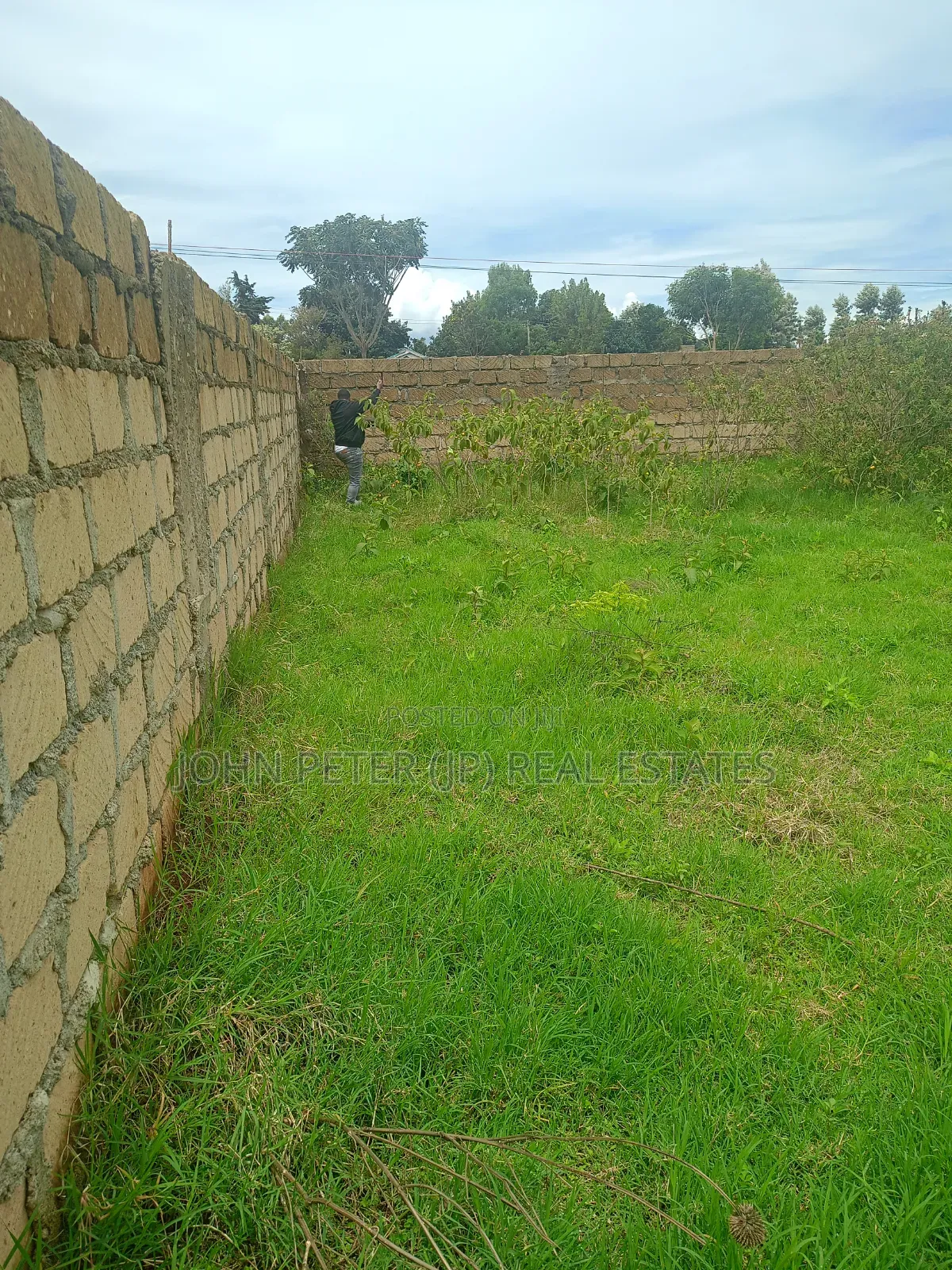 Plots for Sale in Limuru Kwa Mbira