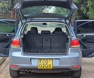 Volkswagen Golf 2010 Silver