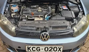 Volkswagen Golf 2010 Silver