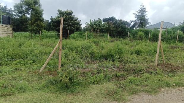 50 by 100 Plot - main view